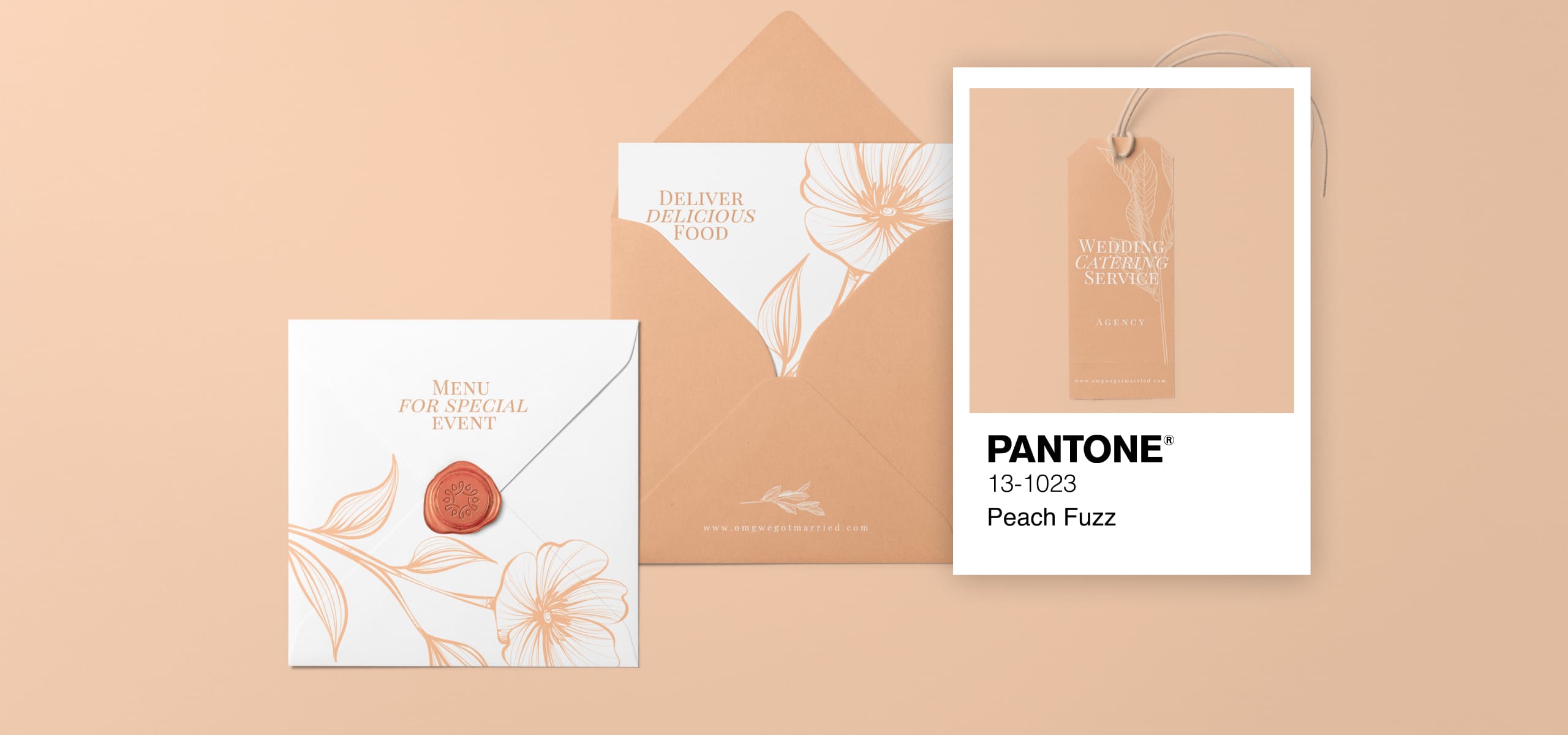 Pantone Color of the Year 2024: Peach Fuzz