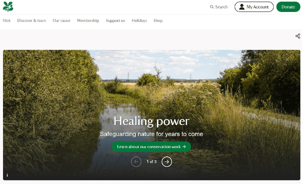 MXP40236-Healing-Power-001